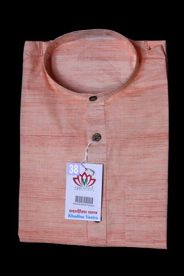 Rimjhim Short Kurta - Image 12